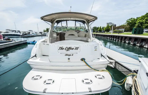 42ft Sea Ray Motor Yacht in Chicago, Burnham Harbor (Up to 12 guests)