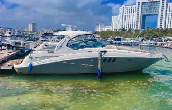 Sundancer 46ft Private Yacht Charter in Cancún for up to 15 Guests
