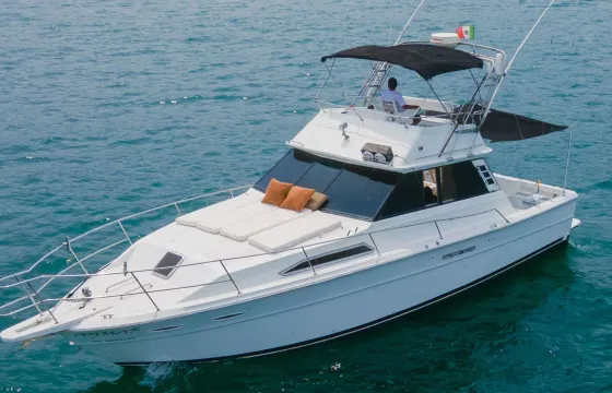 Classic SeaRay 40ft Yacht. Right match for cruising and Sportfishing