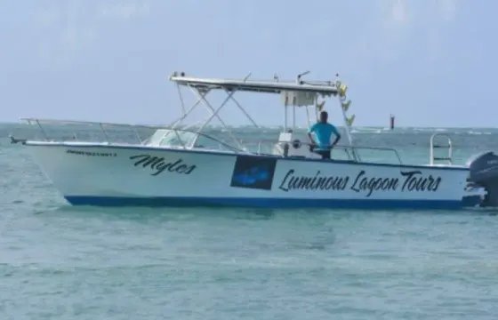 Private Luminous Lagoon Tour Experience Falmouth Jamaica