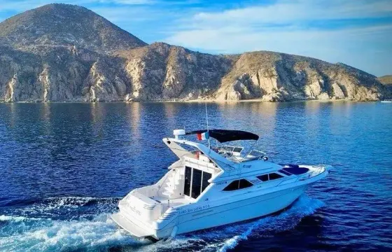 Unforgettable Memories Await on the 45ft Sea Ray – Parties, Family & Fun
