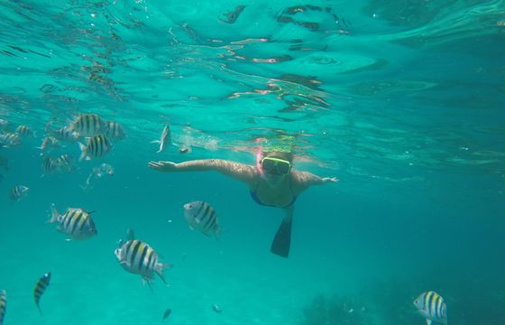 34-foot Venture Center Console Fishing / Snorkeling in Nassau