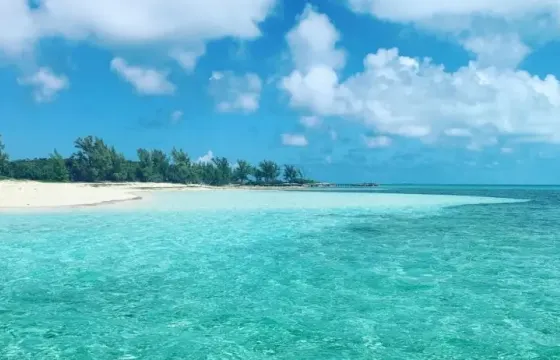 34-foot Venture Center Console Fishing / Snorkeling in Nassau
