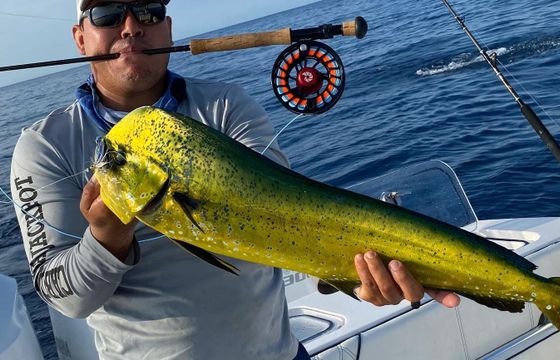 Super Panga 26ft Sport Fishing Boat for 3/4 Day Trip