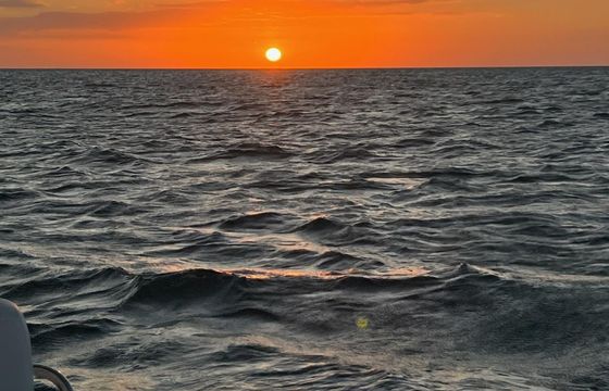 20ft Pontoon In Clearwater Island Hopping With Captain Custom Trips Book Now!