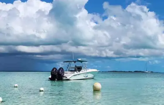 Come with us and live an incredible adventure in the Bahamian waters