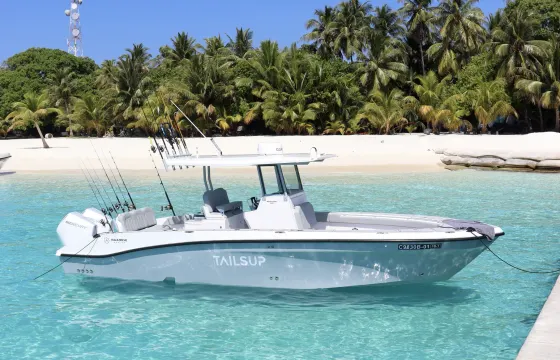 Fishing Charters & Excursions | Naarehi Marine Sportfish 280 Center Console