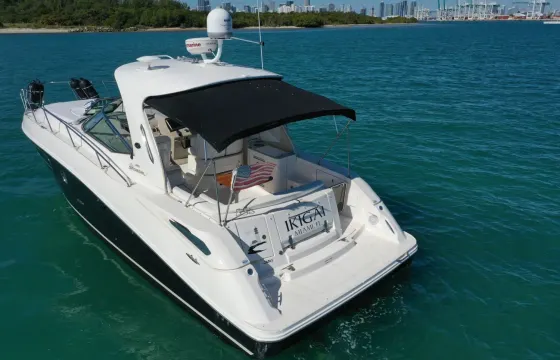 Captained 35' Sea Ray -  dog friendly - pick up in Miami Beach Marina