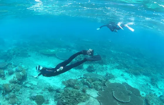 Snorkel Trip in Sanur Area (BALI)