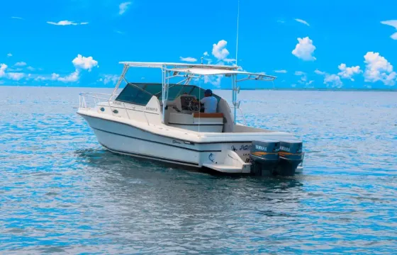 Scorpio 30 Motor Yacht for rent in Casa de Campo, La Romana