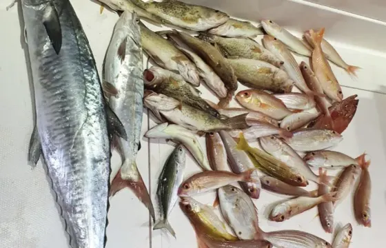 Captained Charter 47' Silver Craft Motorboat in Fujairah - Boat Tours, Fishing Trip and Party Boat for up to 12 Person!