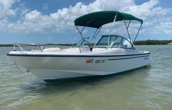 17' Boston Whaler Bowrider for 4 People in New Smyrna