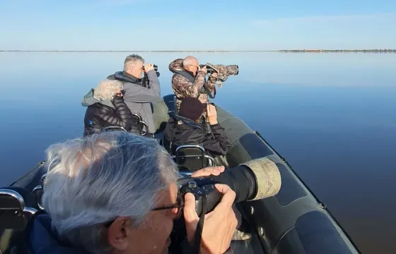 Lisbon: Birdwatching Boat tour in the Tagus estuary