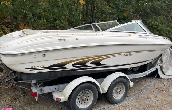 19’ Classic ski boat - day cruiser 225hp