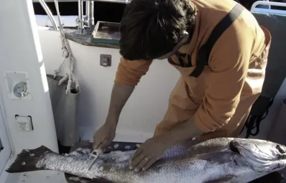 FISHING TRIPS in Cascais, Portugal