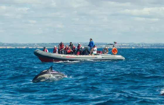 Portimao: Private Dolphin Boat Tour and Benagil Caves