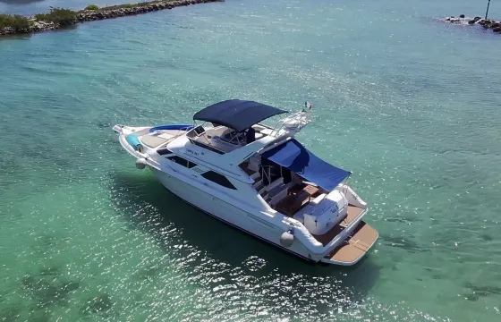 Beautiful and Spacious Flybridge Yacht 47ft in Tulum & Playa all inclusive)