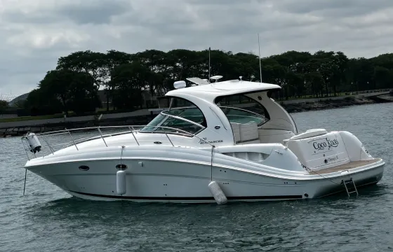 Private Boat Charter - Sea Ray 390 Sundancer In Chicago