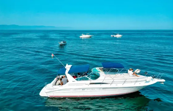 42ft Sea Ray Luxury Yacht in Puerto Vallarta, Jalisco