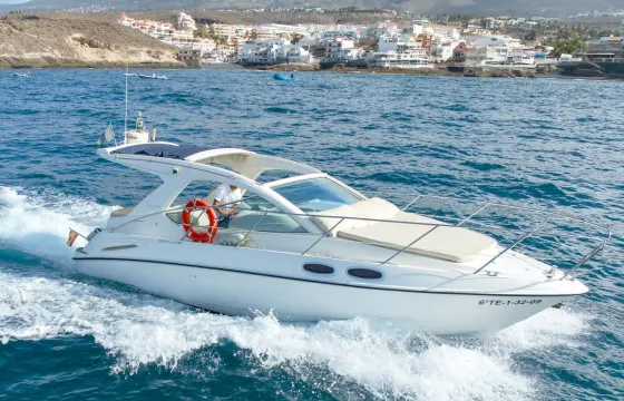Motorboat Shared Experience Tenerife | Sealine SC29