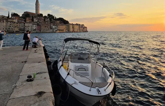 Private Dolphin Boat Tours with newboat 19ft Karnic from Rovinj – Delfin
