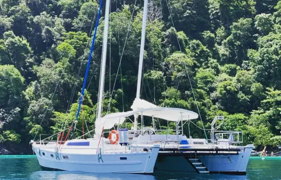 Beautiful Polynesian Style Catamaran