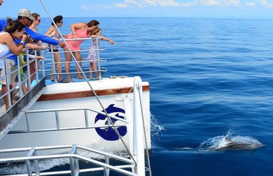 Catamaran Tour in Flamingo, Costa Rica