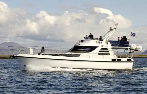 Luxurious Yacht for Private Whale Watching, Puffin Tours & Sightseeing Cruises