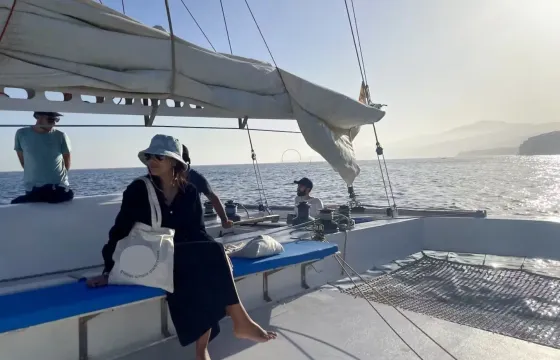 100% Electric Whale & Dolphin Watching Catamaran (Shared Group Experience)
