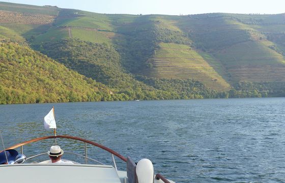 Full day boat tour, from Pinhão