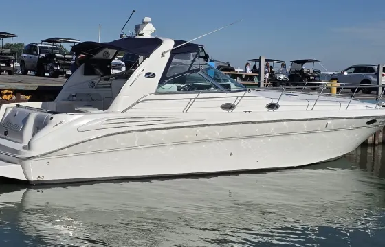 Sea Ray  Party Boat Yacht in Sandusky,Put-in-Bay,Kelly's Island,Sandbar