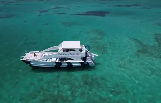 Dolly-EXCLUSIVE VIP CRUISE IN  PUNTA CANA