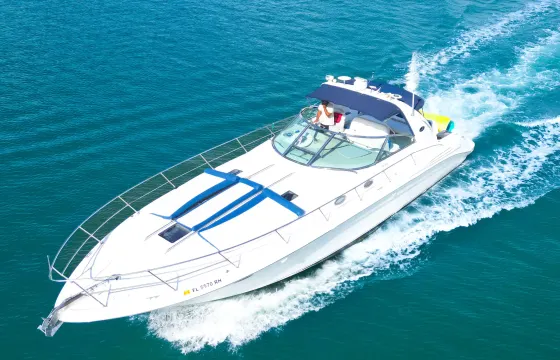 Cruise Miami in style aboard this stunning 44ft Sundancer ✨