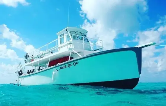 Wildlife Tour in West Bay - Swim and Snorkel With Stingrays!