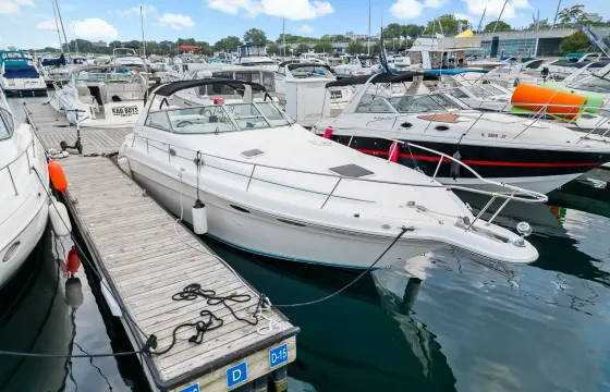 SeaRay 330 Motor Yacht Charter in Chicago, Illinois for 12 Guests