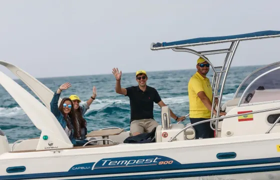 Capelli 900 WA RIB for Rent in Can Pastilla, Illes Balears