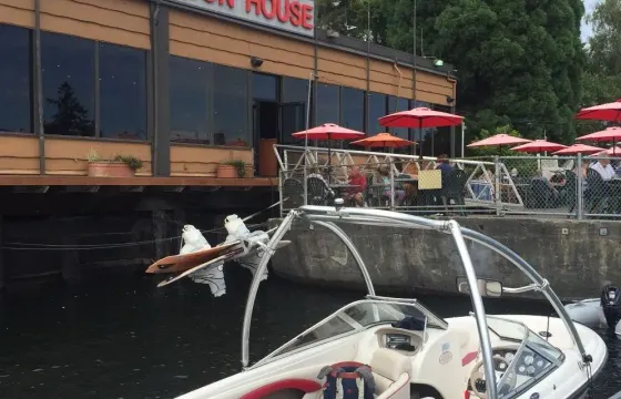 Lake Coeur D'Alene Book the Chaparral 180 SSE Powerboat on Lake Coeur d'Alene