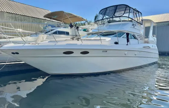 SeaRay 48 ft Luxury Yacht in Vancouver