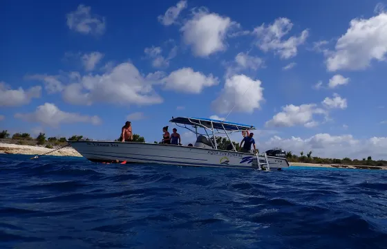 2 Tank Boat Dive on Bonaire's Underwater Paradise in the Caribbean Netherlands!