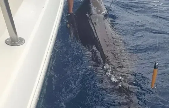 Luminare Sport Fishing Herradura los Suenos Costa Rica