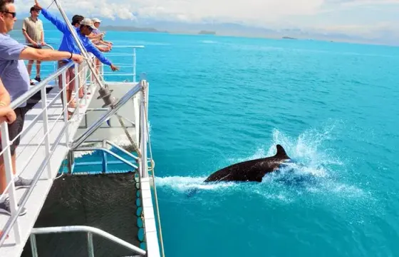 Shared Catamaran Eco Adventure in Manuel Antonio, Costa Rica