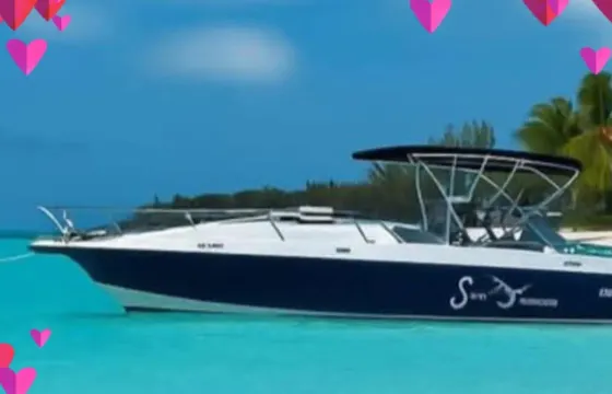 Intrepid 339WA Boat Tours & Charters in The Bahamas