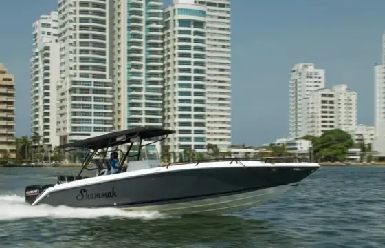 Charter the 33ft Luxury Donzi Center Console  / Visit Rosario Islands and Baru