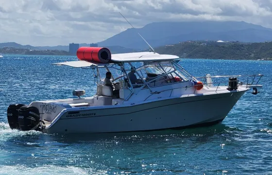 Grady White 33Ft Puerto Del Rey, Fajardo PR