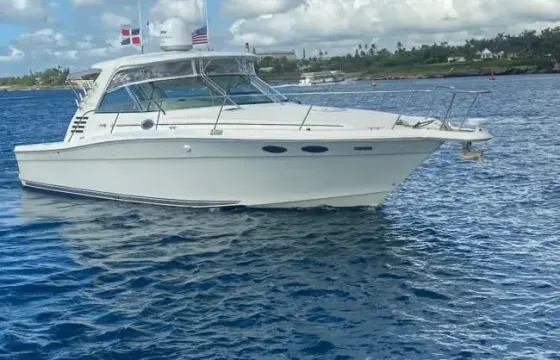 Visit Saona or Catalina island in our 37ft Sea Ray