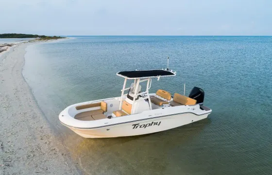 Paradise Trophy Jolly Harbour - 22ft Bayliner Boat