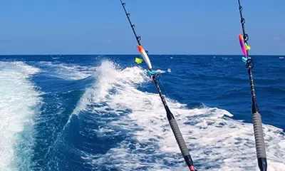 23' Boston Whaler for Charter in Brielle, NJ