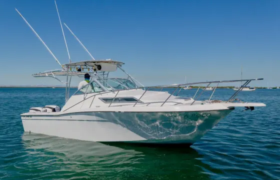 Wellcraft 31 ft Yacht & Sportfishing in La Paz!