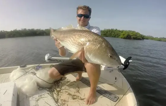 Inshore Fishing Trip for 4 anglers in Bradenton with Captain Alex