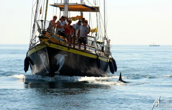 Blue Water Vagabond 42 Sailing Yacht Rental in Benalmádena, Spain